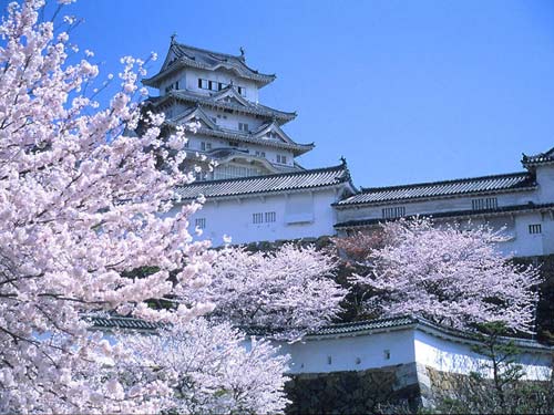 20111009104956540.jpg