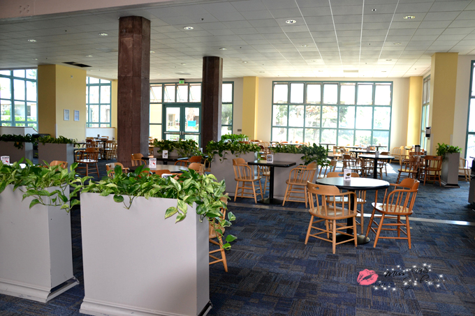 新东方美国夏令营,走进加州大学圣塔芭芭拉分