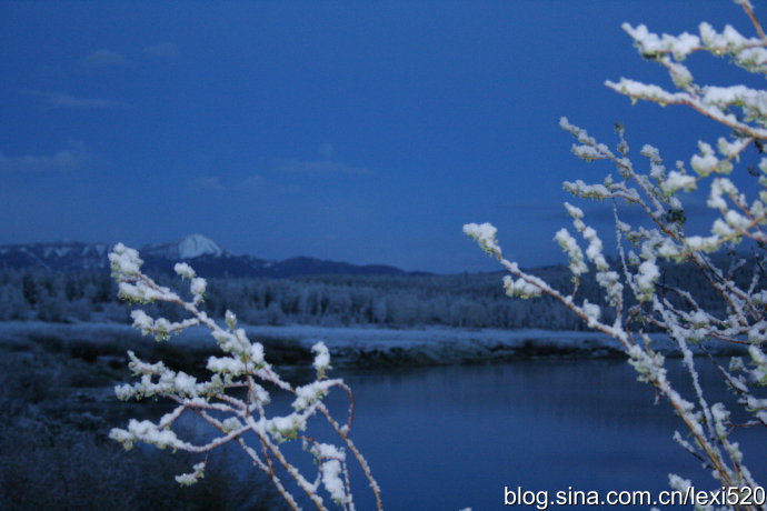风景优美的美国黄石公园游记-新东方美国夏令