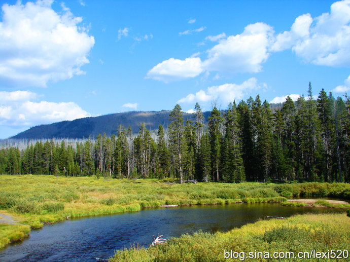 风景优美的美国黄石公园游记-新东方美国夏令