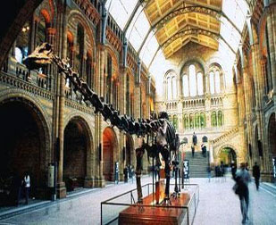 美国特色主题系列2线--加州科学营+英语课程体