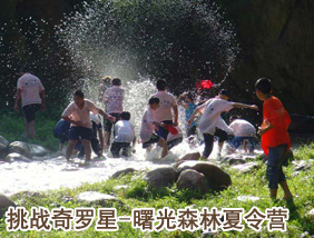 奇罗星暮光森林夏令营