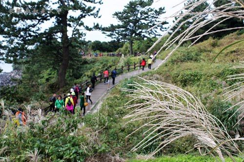 żС(jeju-olle)