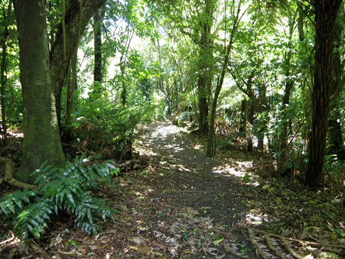 ֲ԰ otari botanical gardens