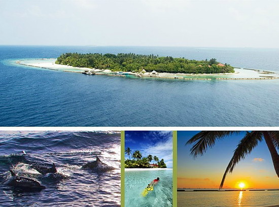 ȼٴ|ellaidhoo|