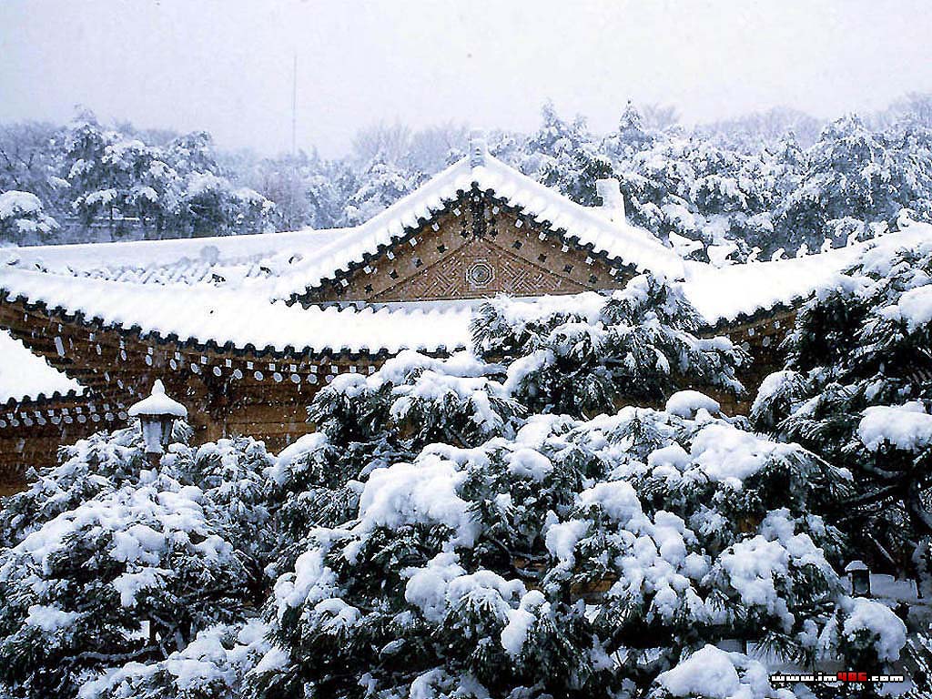 首尔的最佳旅游时间(图)