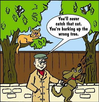 bark up the wrong tree Ҵ