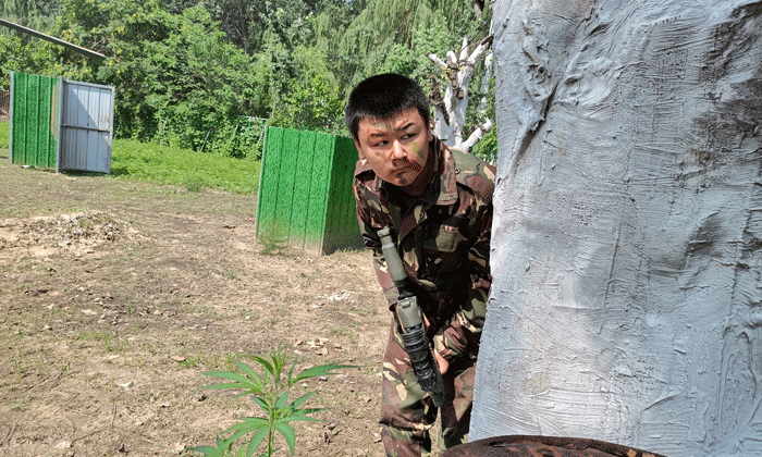 北京夏令营有哪些