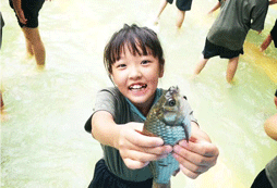 摸鱼