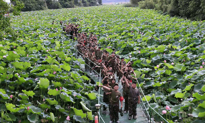 5天儿童夏令营有哪些