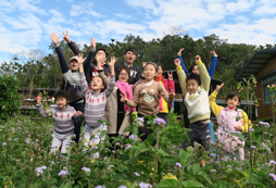 幼儿夏令营活动解决哪些问题