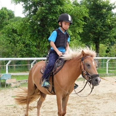 广德体育夏令营活动带给青少年别样的快乐体验