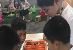 出国游学夏令营带你走进中土魔戒自然文化酷旅