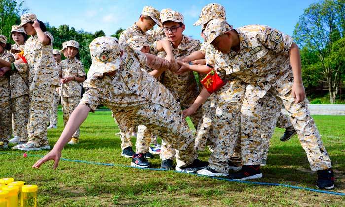 国内夏令营好不好