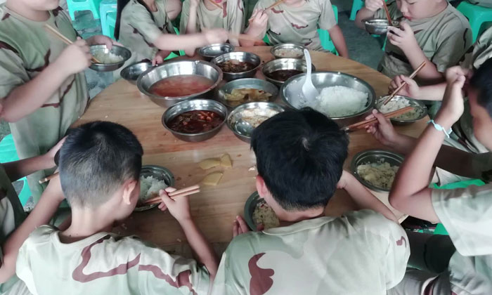 国内中学生夏令营怎么样
