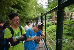 杭州英语夏令营提高学生的听力口语能力
