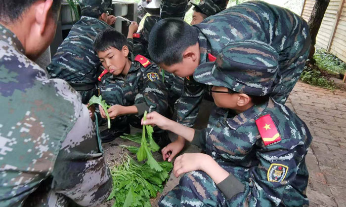 杭州有哪些好的夏令营