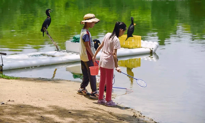 湖北夏令营五大排名