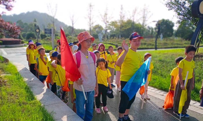 江苏夏令营怎么样