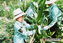 农村乡村夏令营师资团队怎么样？