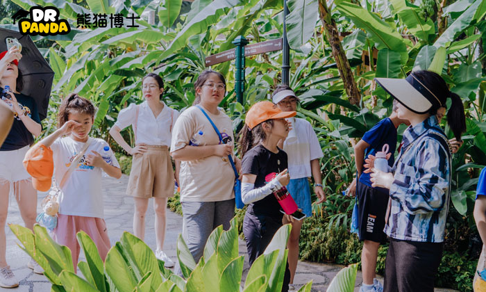好未来熊猫博士夏令营