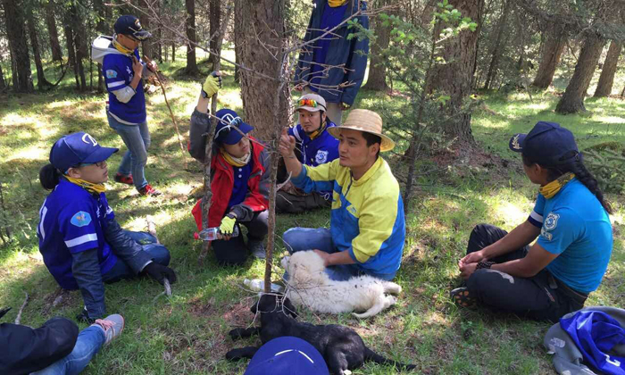 青海研学夏令营费用