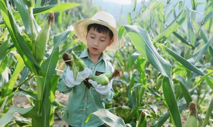 上海夏令营活动排行榜