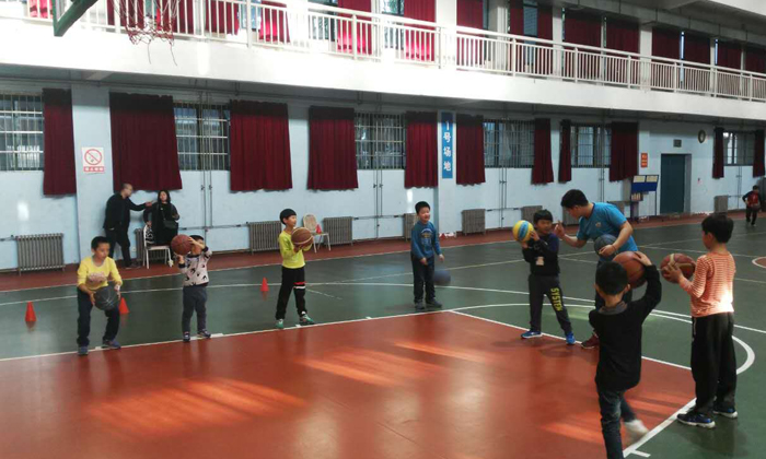 青浦区青少年篮球训练营