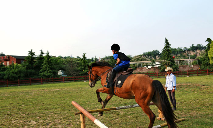 小学生暑假夏令营排名大全