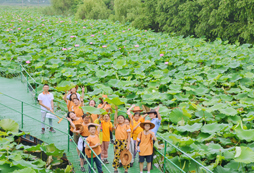 国内正规探索发现夏令营机构选哪家