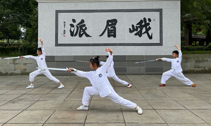 小学生体能训练夏令营报名哪家好