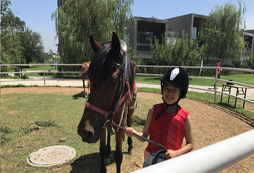 马术体育夏令营青少年学骑马的绝佳场所