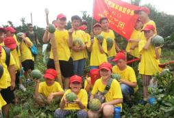 武汉小学生夏令营怎么样