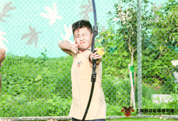 攻防箭教学