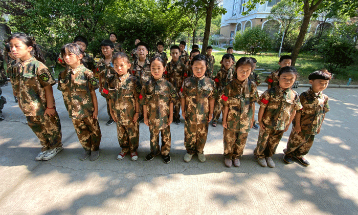 蓝田周边小学生夏令营多少钱