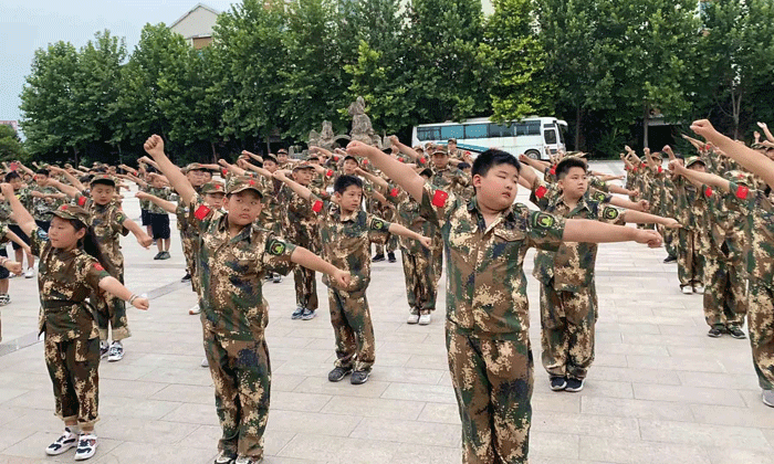 小学生夏令营多少钱