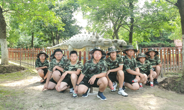 两周小学生夏令营报名推荐