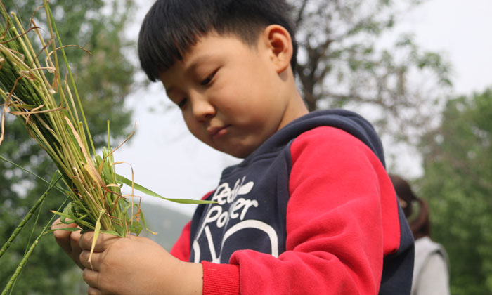 西南中学生游学夏令营.jpg