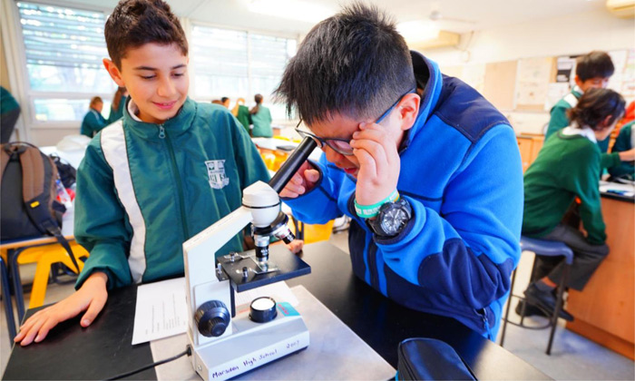 新西兰游学线路推荐