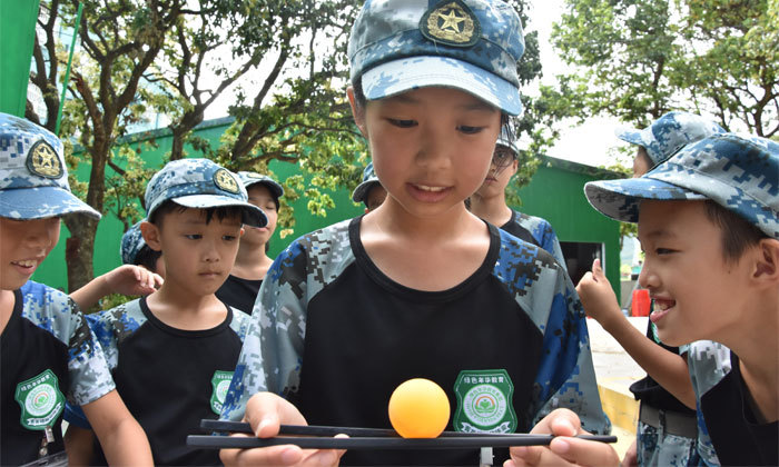 国内哪里有学能夏令营