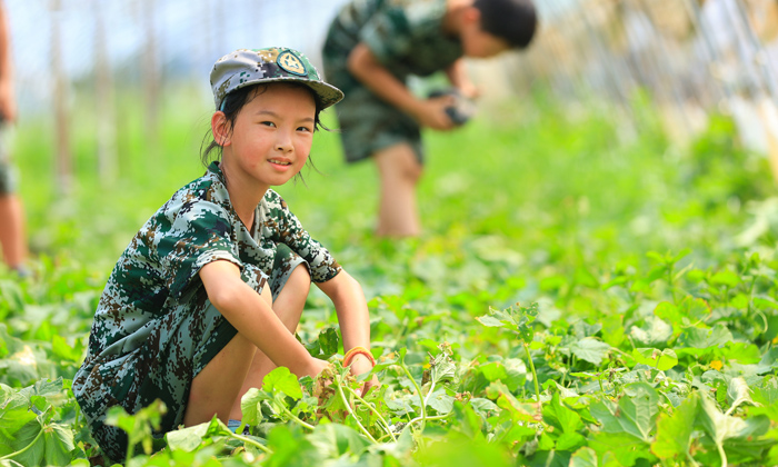 游学夏令营口碑推荐