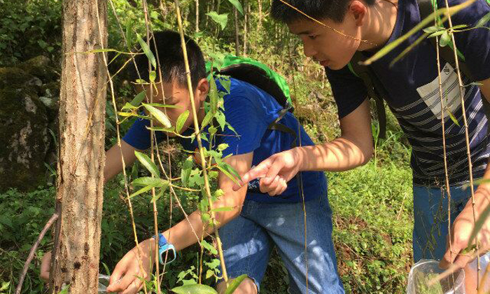 国内有哪些中学生游学夏令营