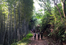 野外生存夏令营让孩子回归大自然