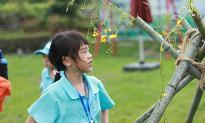 浙江小学生夏令营多少钱