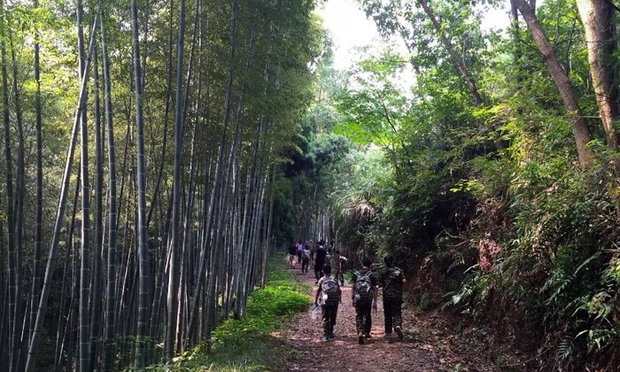 浙江各大生存夏令营机构的开营时间介绍.jpg
