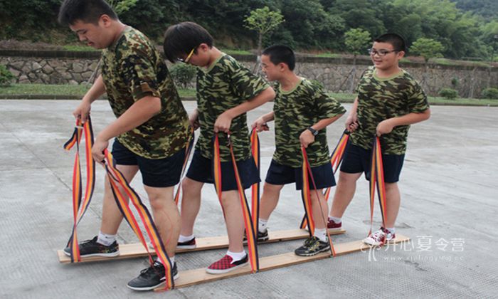 郑州夏令营