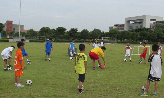 你所不知道的郑州体育夏令营