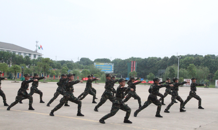 军体拳基础练习