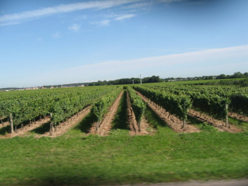 2009Ӣڼô׶֮