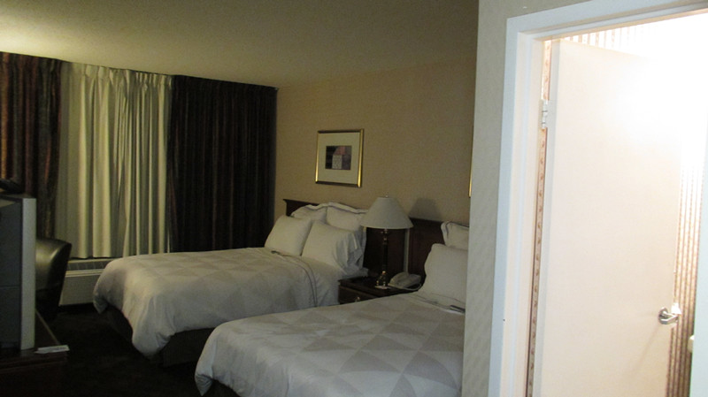 radisson hotel 1_.jpg